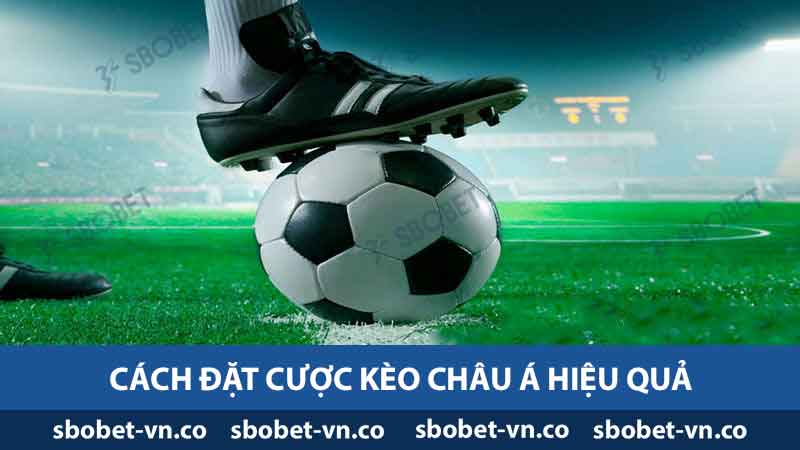 Kèo Châu Á - Tìm Hiểu Chi Tiết Về Kèo Cược Thể Thao 2024 2 Cách đặt cược Kèo Châu Á hiệu quả