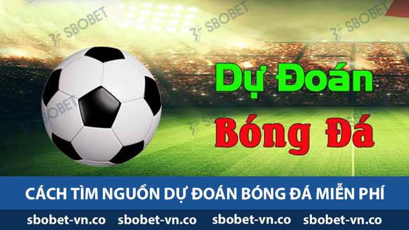 Dự Đoán Bóng Đá Miễn Phí - Xu Hướng Và Nguồn Uy Tín Nhất 2 Cách tìm nguồn dự đoán bóng đá miễn phí